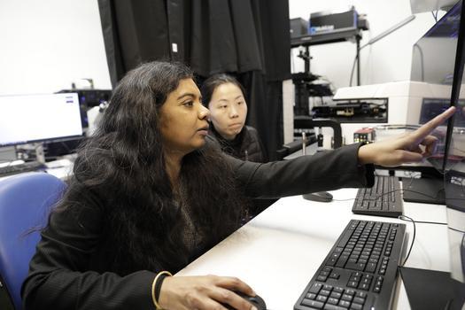 MSc Linguistics and AI