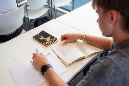 Modern Languages and Culture