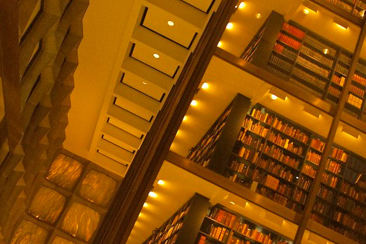 Postdoctoral and Research Fellowships