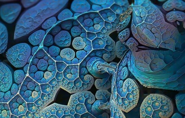 Cerase Lab geometric graphic