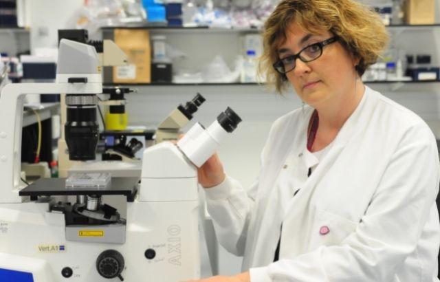 Professor Silvia Marino. Credit: Brain Tumour Research