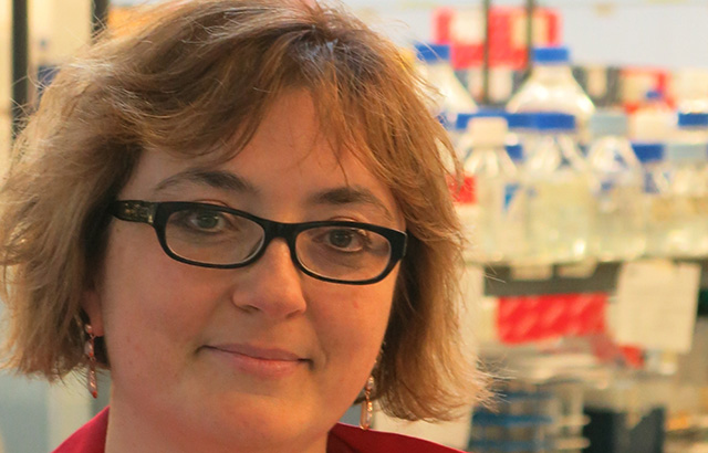 Professor Silvia Marino