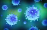 Graphical image of Coronavirus