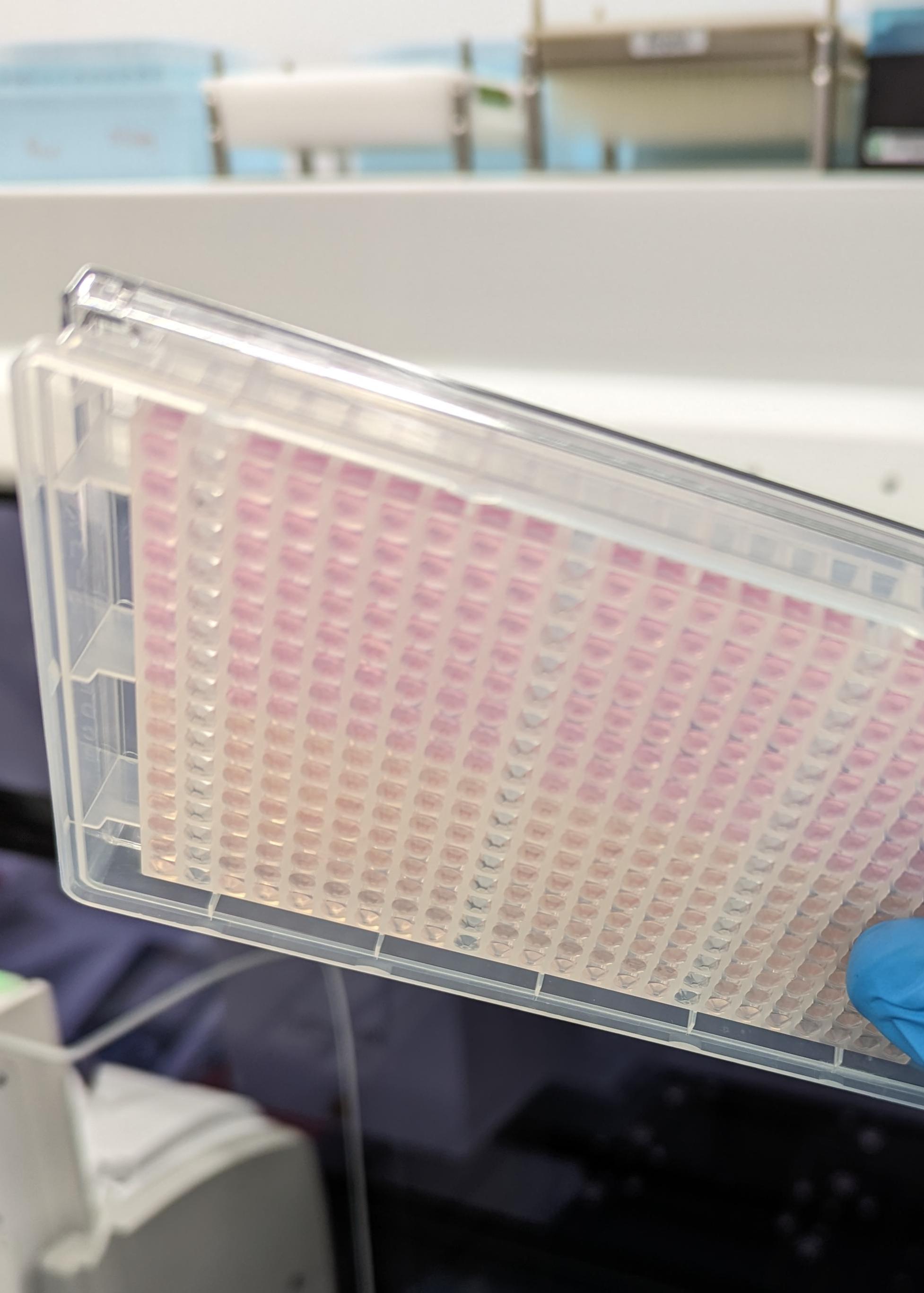 Liquid Handling and Screening