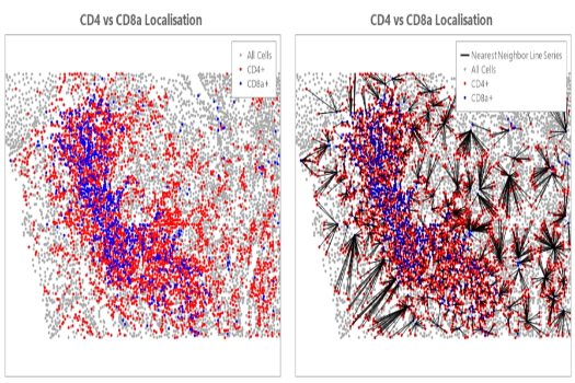 Bioinformatics Support