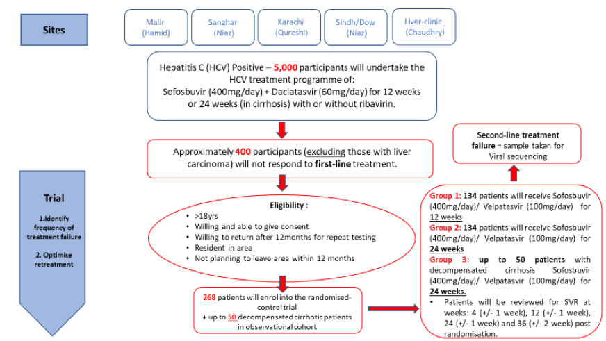 Second in line treatment study