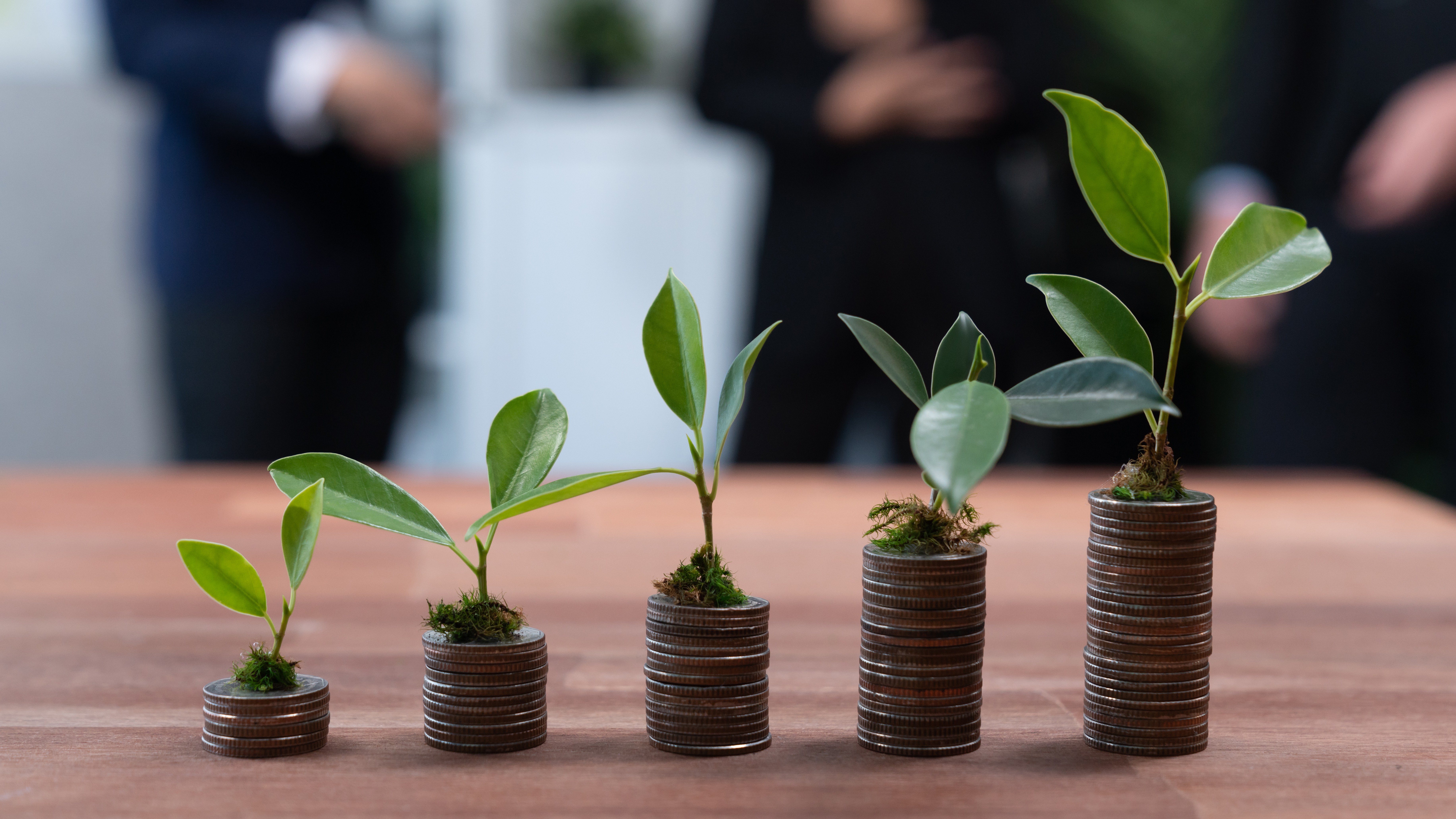 Piles of coins with seedlings