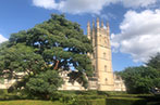 The Great Tower of Magdalen College, across hedges of the Daubeny Laboratory.