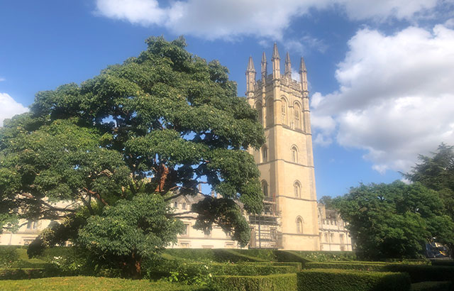 The Great Tower of Magdalen College, across hedges of the Daubeny Laboratory.