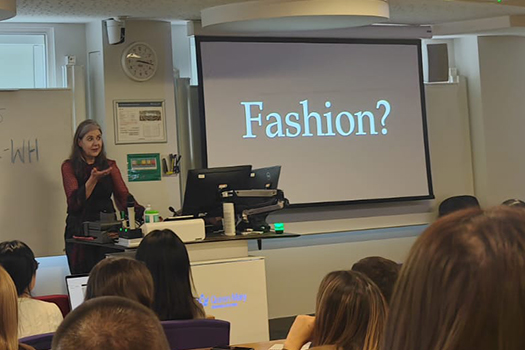 Professor Johannah Gibson giving a lecture at CCLS.
