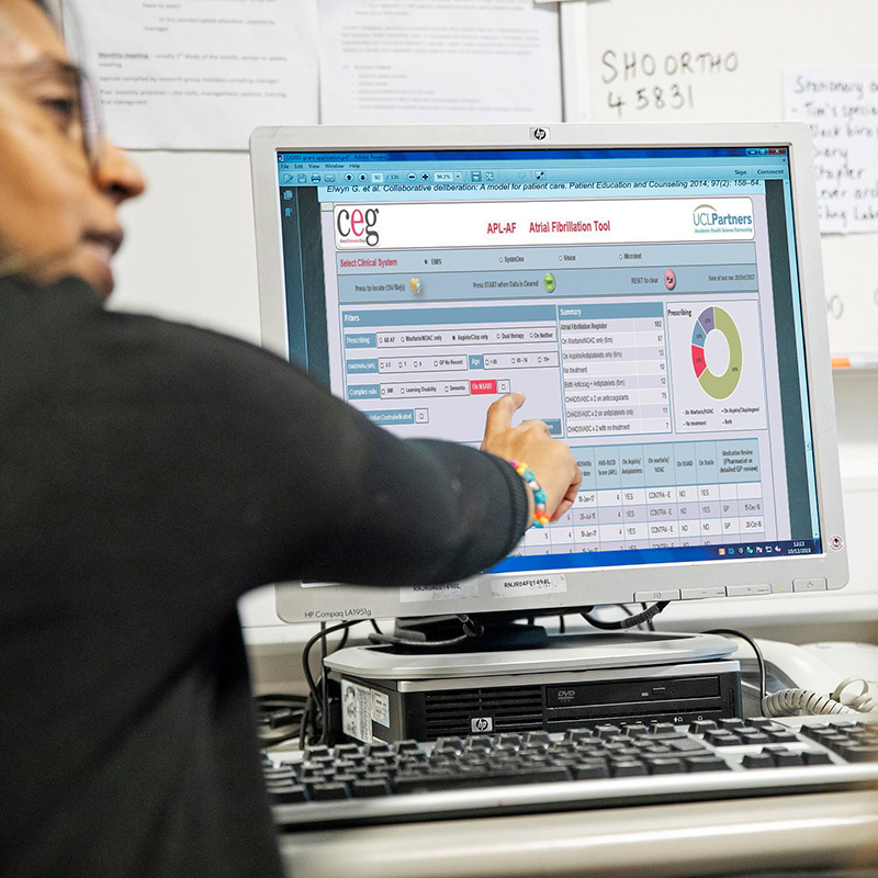 Photo of a practitioner pointing at a CEG tool on a computer screen
