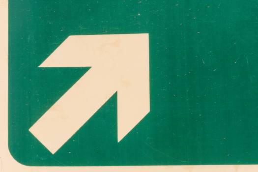 Cultural Advocacy Fellows
