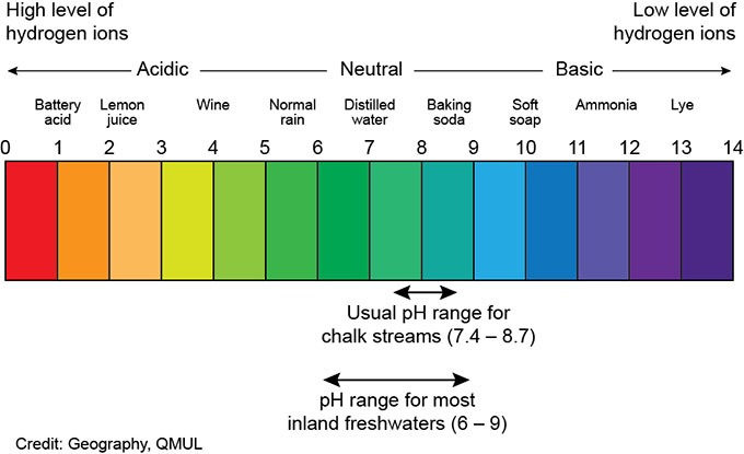 A diagram showing the pH of typical aqueous solutions used every day.