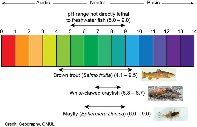 pH ranges tolerable to brown trout, crayfish and mayfly.