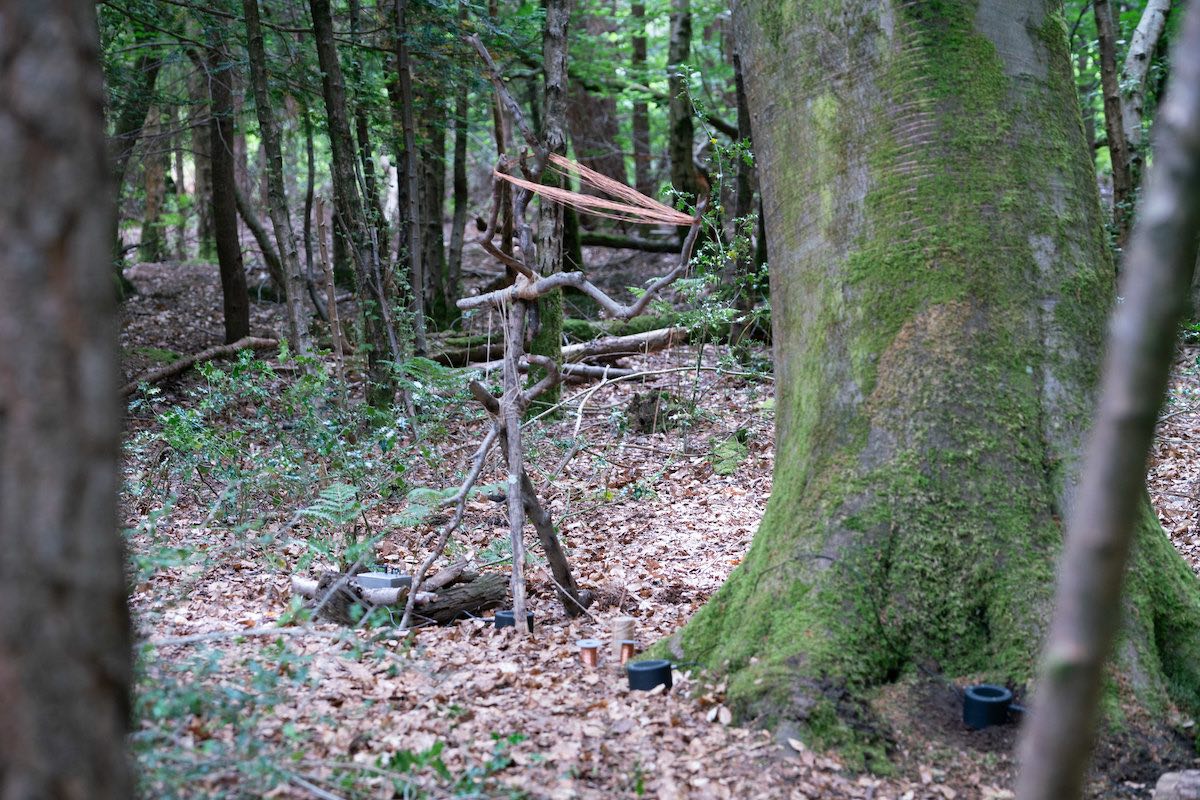 Sound installation in forest