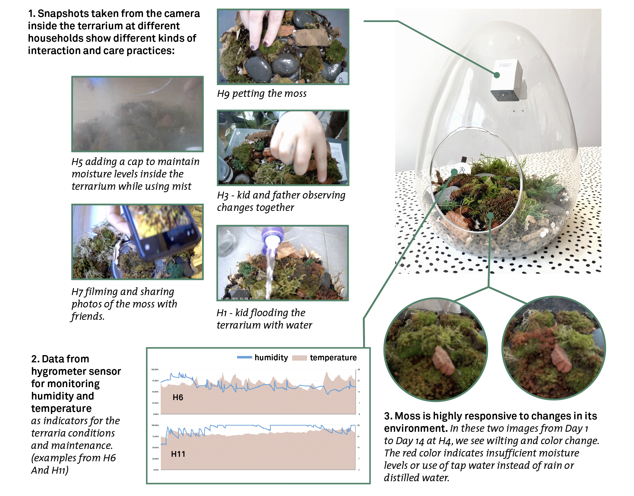 Diagram showing steps of plant care