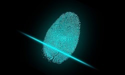 image of a fingerprint
