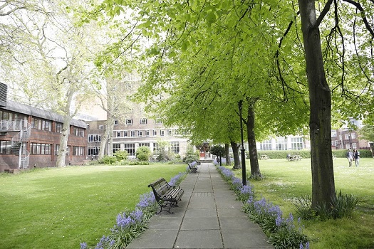 The lawn at Charterhouse Square campus with a tree and Dawson Hall student accommodation in the background