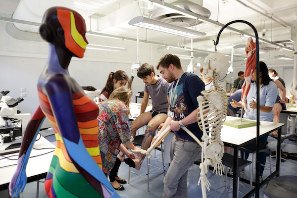 Precision Musculoskeletal Sciences