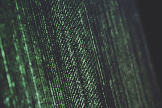 Vertical green lines of code across a whole laptop screen.