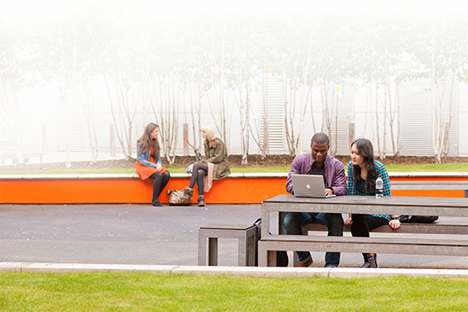 Undergraduate Associate (Full Year)