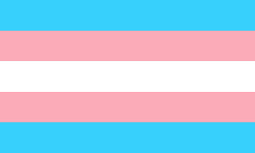 Transgender pride flag