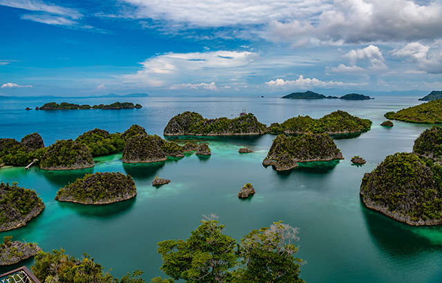 Waigeo, Kri, Mushroom Island, group of small islands in shallow blue lagoon water, Raja Ampat, West Papua.