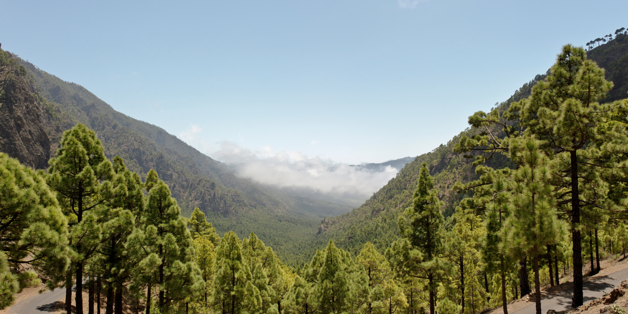 Climate Change- Collaborating & Cooperating