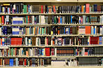 Library books arranged on a shelf