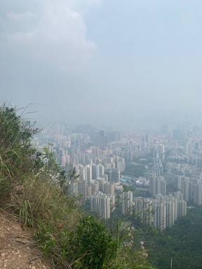 Hong Kong skyline from a mountain