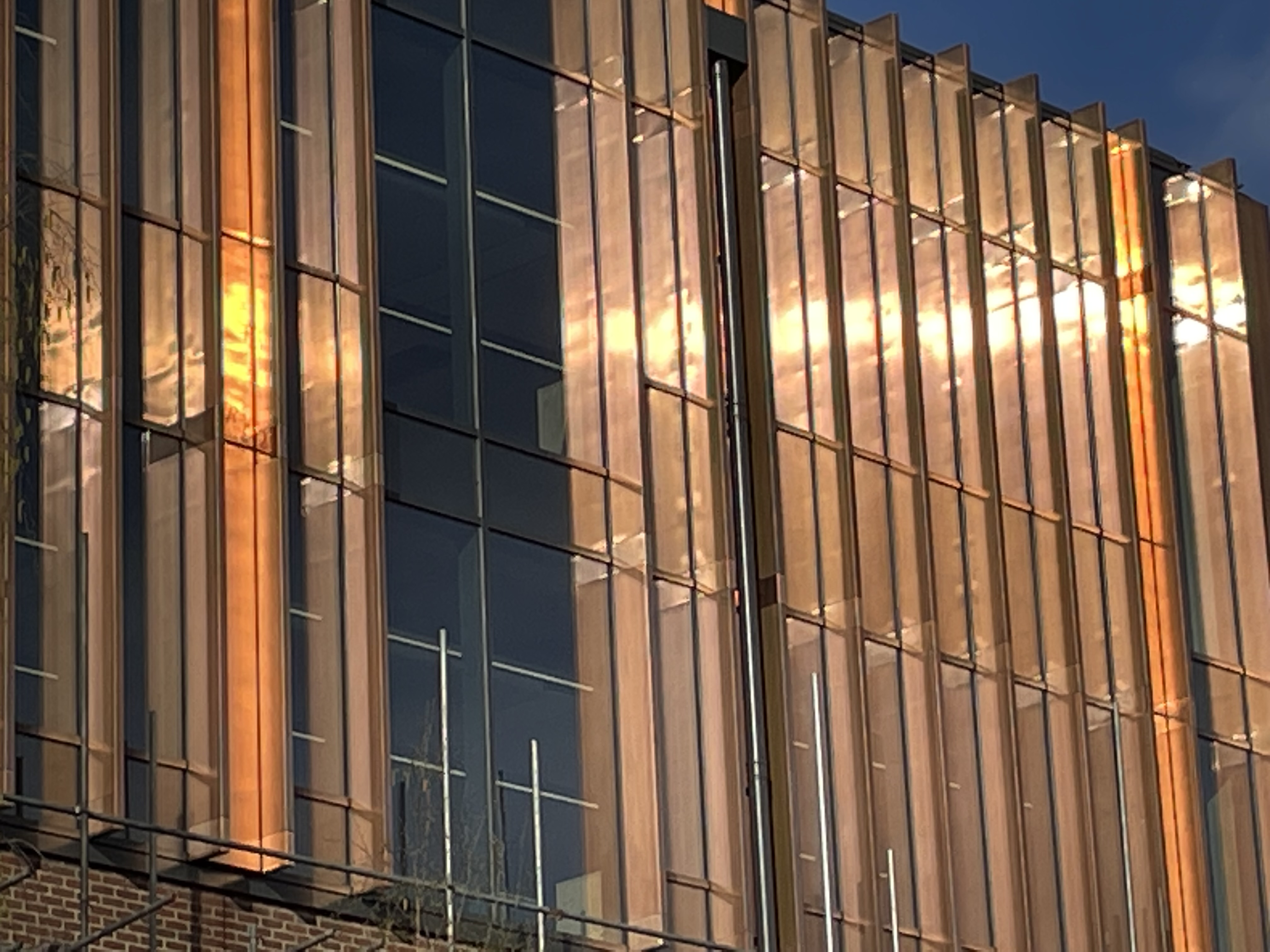 sunshine on copper cladding