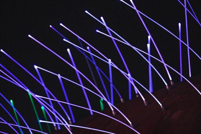 Strips of shining purple and green light against dark background