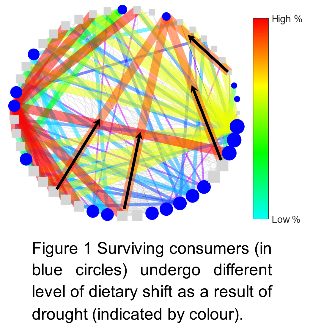 Figure representing Athen Ma's research