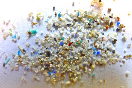&lsquo;How microplastics may be reshaping our bodies and minds&rsquo;