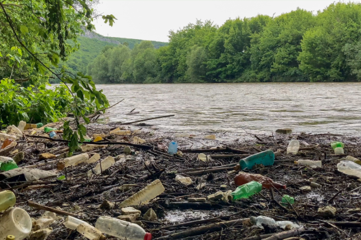 Preventing Plastic Pollution