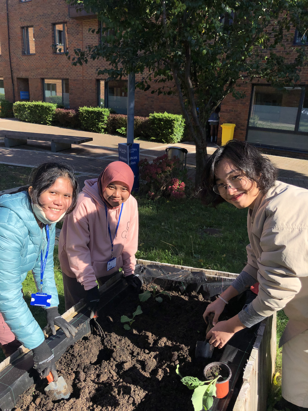 Students planting seedlings into raised beds