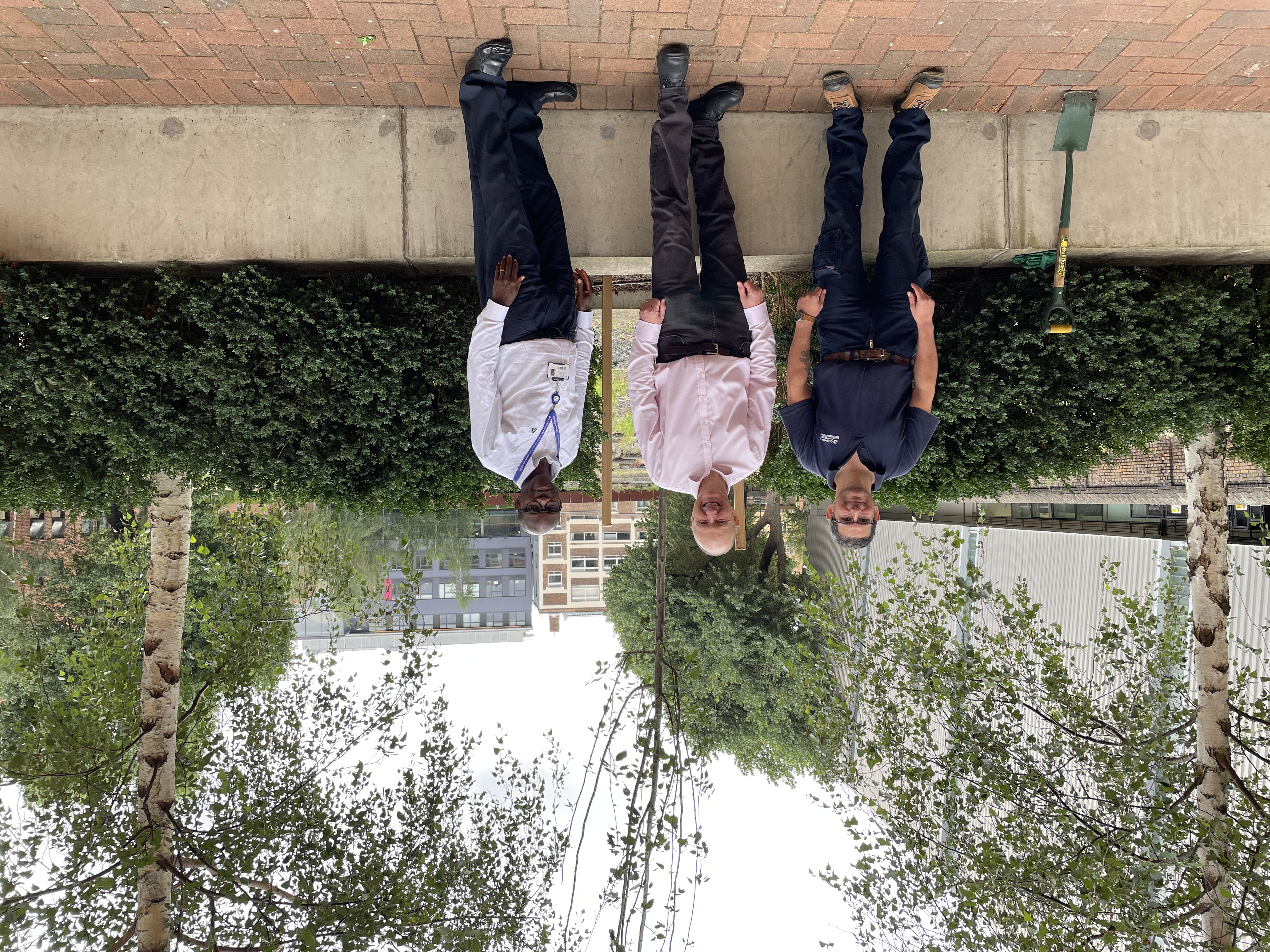 Three men stand in front of a newly planted tree