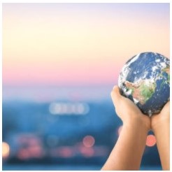 Environmental Management System Procedures