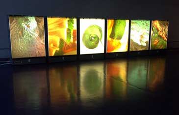 Matter of Objects exhibition