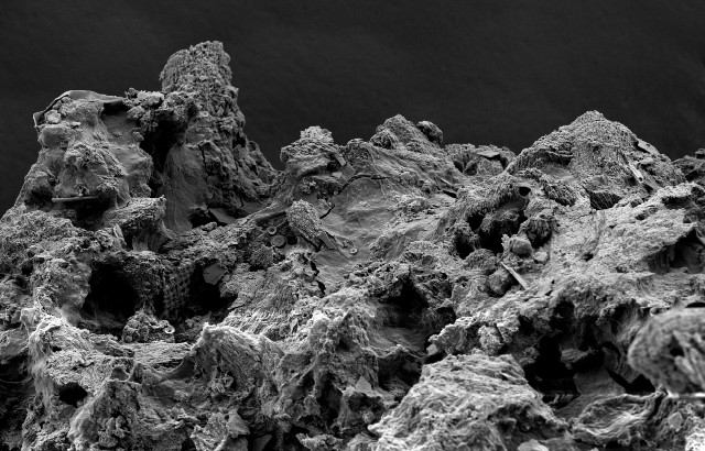 Marine sediments that cover the seafloor are estimated to contain an abundance of life. Image credit: Jefferey Marlow, Boston University