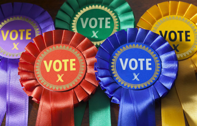 Political party badges