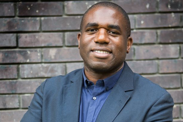 David Lammy MP