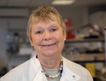 Professor Fran Balkwill OBE