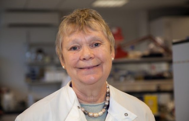 Professor Fran Balkwill OBE