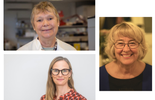 Frances Balkwill, Irene Leigh and Claudia Langenberg