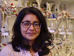 Professor Amrita Ahluwalia
