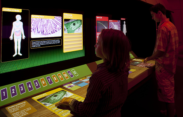 Research will be carried out with Centre of the Cell – QMUL's science education centre for young people and their families