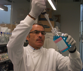 Professor Marco Falasca