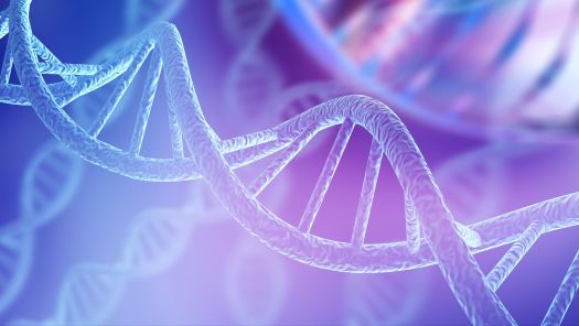 &lsquo;Rogue&rsquo; DNA rings linked brain cancer growth 