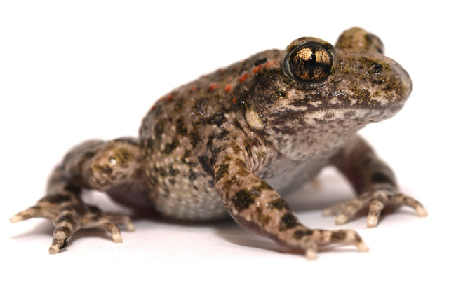 Credit: Phillip Jervis